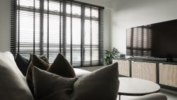 Living room with sofa and cushions facing TV on cabinet with plant and window blinds behind sofa