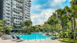 High Park Residences swimming pool with sun loungers, lush greenery and residential blocks under blue sky