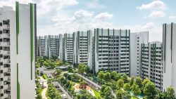 Housing blocks with green vertical stripes surrounding landscaped gardens and playground under a blue sky