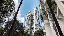 Rivergate apartment blocks rising above lush trees with balconies featuring greenery against a blue sky
