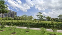 Green lawn with young trees by a footpath and fence, with housing blocks under cloudy sky in background