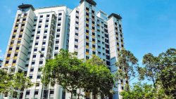 White and grey residential blocks with yellow balconies and trees in front under clear blue sky