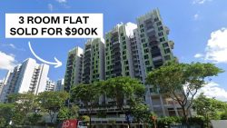 Residential blocks with green and black facade details under a blue sky with text about 3-room flat sale price