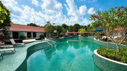 Residential pools with green tiled edges, loungers, trees, and single-storey buildings with red tiled roofs