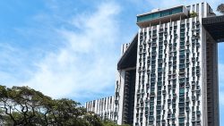 High-rise residential building with numerous windows and balconies against a blue sky and large tree canopy