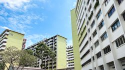 Housing blocks 57 and 58 with pale green and white facades surrounded by trees under a blue sky