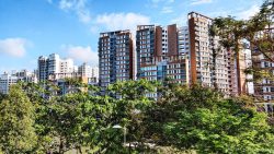 High-rise residential blocks behind green trees under a blue sky