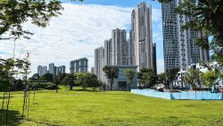High-rise apartment blocks behind an open grassy field with scattered young trees and blue construction fencing