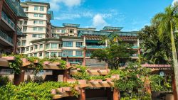 Maplewoods residential blocks with beige facades, blue sunshades, surrounded by greenery and trellises under blue sky