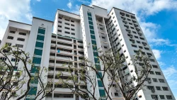 White public housing blocks with green-tiled lift shafts and trees in front under a blue sky