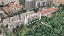 Cluster of HDB blocks surrounded by greenery and adjacent to several low-rise buildings with red roofs