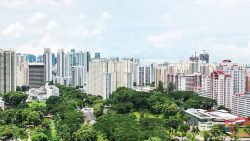 High-rise residential blocks behind a large green park with mature trees under a cloudy sky