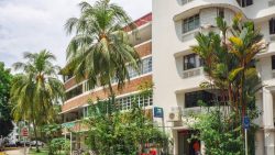 Low-rise residential blocks with curved edges, palm trees lining the street and lush greenery surrounding them