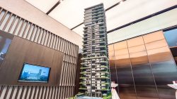 Tall architectural model of Aurea condominium displayed in a room with wood panel walls and a screen