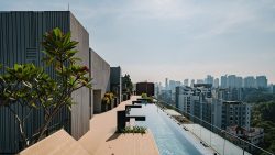 Rooftop infinity pool and deck with plants and city skyline in the distance at The Hyde