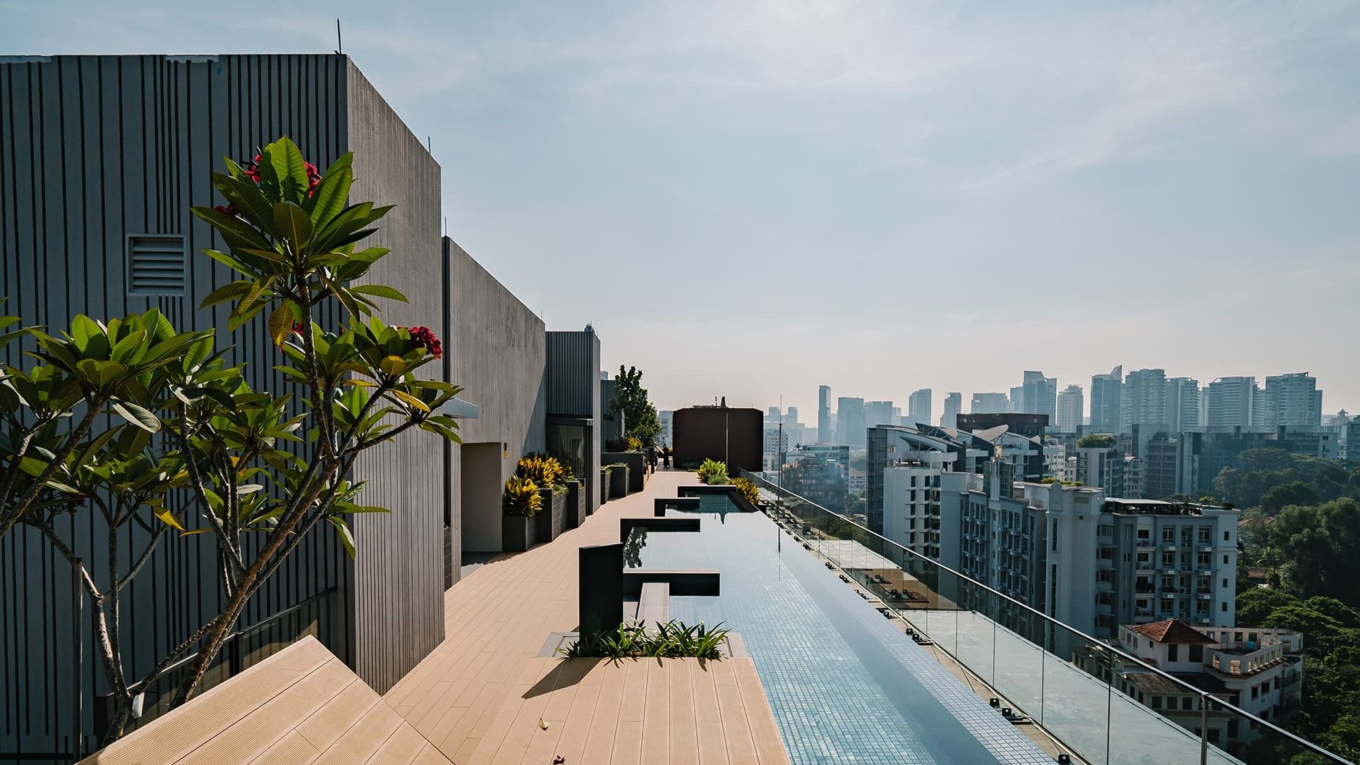 Rooftop infinity pool and deck with plants and city skyline in the distance at The Hyde