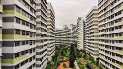 Tampines GreenVerge residential blocks with garden and walking paths between the buildings under overcast sky