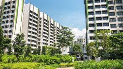 Alkaff Oasis residential blocks rising behind landscaped gardens with trees and shrubs under a clear blue sky
