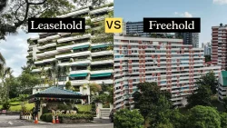Arcadia leasehold apartment block with greenery contrasted with freehold residential blocks in cityscape