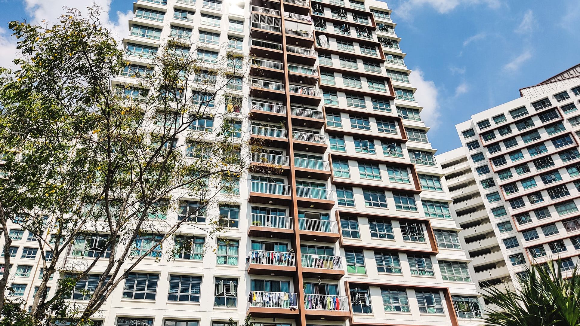 Hougang Capeview residential blocks with balconies drying clothes under blue sky and trees in foreground