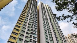 Tall residential blocks with yellow and white facades against a blue sky with tree branches visible