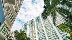 High-rise residential blocks with blue and white facades surrounded by palm trees under a cloudy sky