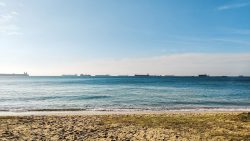 Beach shoreline with calm waves and multiple large ships on the horizon at sea under clear sky