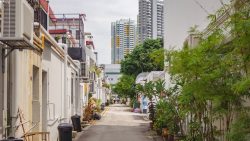 Service lane with aircon units, potted plants and trash bins beside low-rise buildings and high-rise apartments beyond