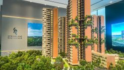 Scale model of Springleaf Residence apartment blocks with rooftop greenery and surrounding trees in showroom