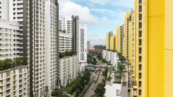 High-rise residential blocks with white and yellow facades flanking a road with pedestrian crossings and greenery