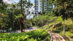 Pathway surrounded by greenery and trees with Hougang Capeview apartment blocks in the background