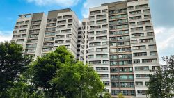 Hougang RiverCourt residential blocks with trees in front and partly cloudy sky in the background