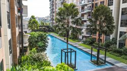 The Brownstone EC apartment blocks surrounding a long swimming pool with palm trees and landscaped gardens