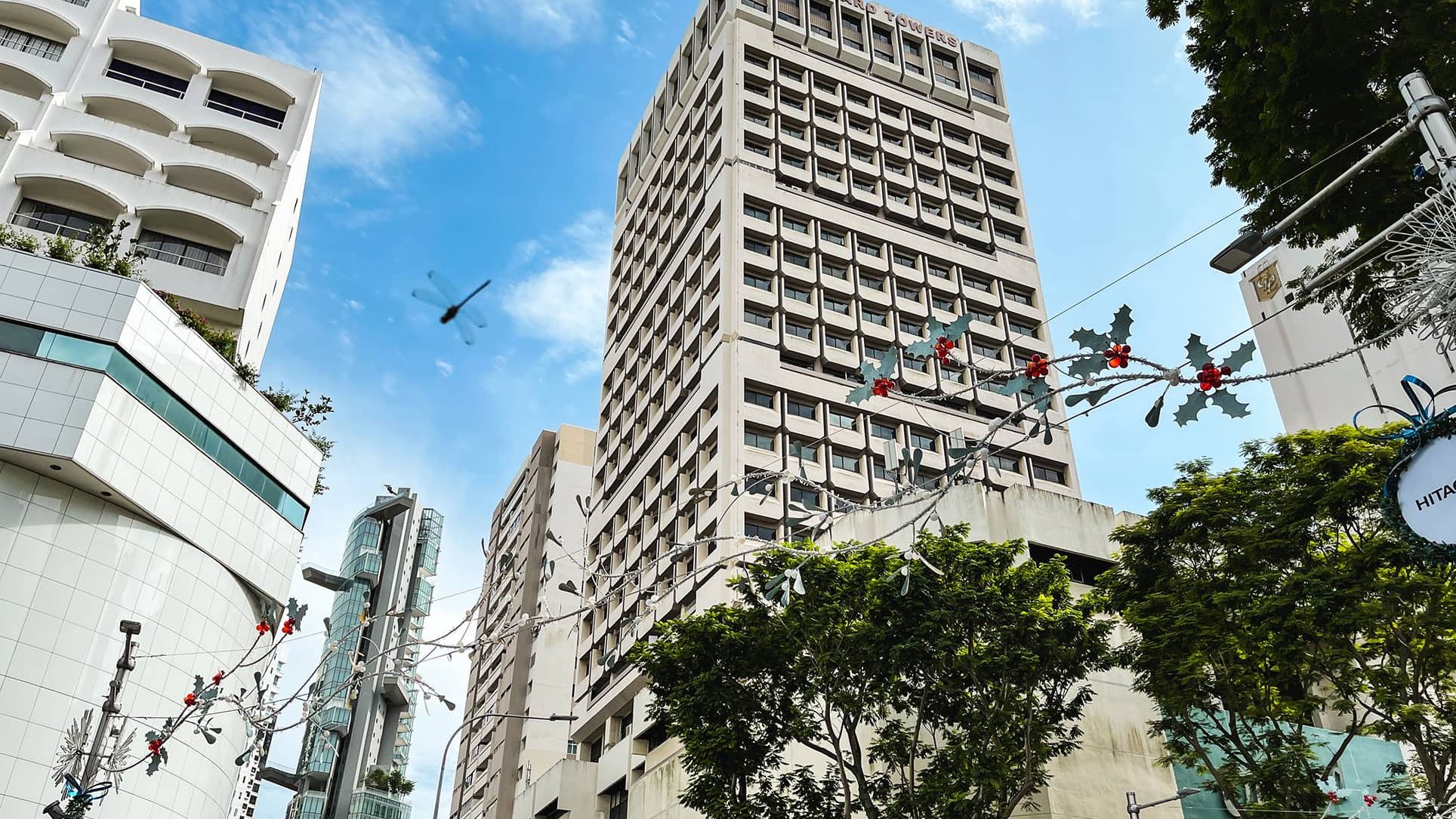 Taller commercial and residential blocks with Christmas decorations and trees below under a blue sky