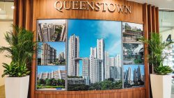 Collage of photographs showing high-rise residential blocks and older housing in Queenstown on a wood panel wall with potted plants nearby