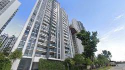 High-rise apartment blocks with balconies beside a leafy street under a clear blue sky