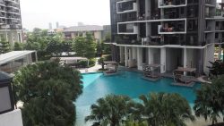 The Trilinq swimming pool area with poolside cabanas, tropical trees, and nearby apartment balconies